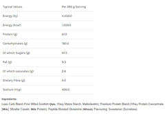 Mass Lean Mass Gainer By Warrior